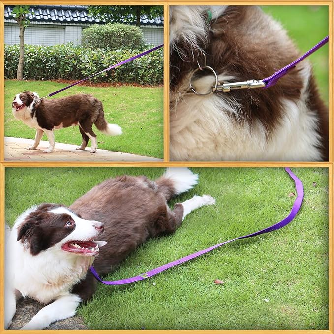 AmaGood Dog/Puppy Obedience Recall Training Long Dog Leash- 20 feet 30 feet 50 feet 15 feet Long Leash for Dogs Training,Recall,Play,Safety,Camping (Purple, 20 Foot (Pack of 1))