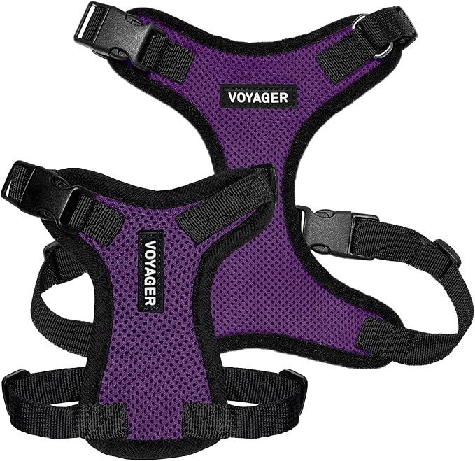 Voyager Step-in Pet Harness - All Weather Mesh, Adjustable Step in Harness for Cats and Dogs by Best Pet Supplies - Purple/Black Trim, S