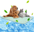 NWK Pack of 4 Pet Cooling Mat - Ice Silk Cooling Mat for Dogs & Cats Portable & Washable Pet Cooling Blanket, Car Seats, Beds for Summer (4pcs, Green Fruit, 39’’ X 27’’ X 0.3)