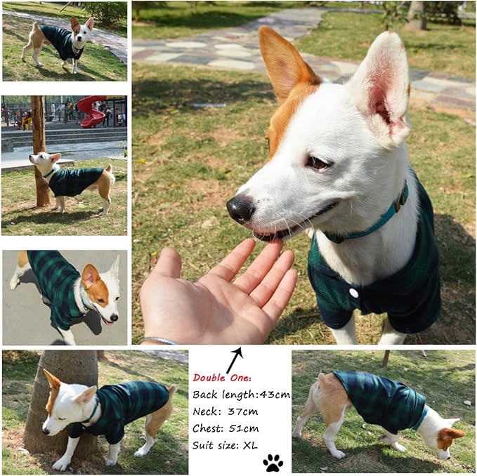 Koneseve Dog Shirt Pet Plaid Clothes T-Shirt for Small Dogs Cats Puppy Grid Shirts Adorable Wearing Stylish Cozy Halloween Apparel Christmas Costumes (Green;M/Medium)